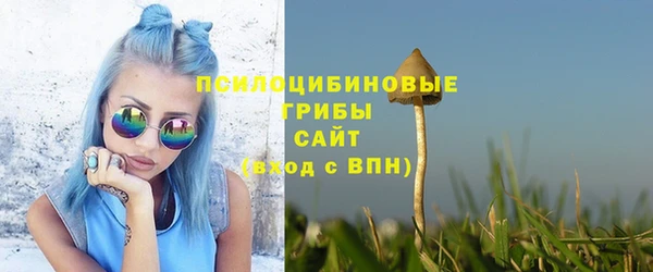 стафф Алексеевка