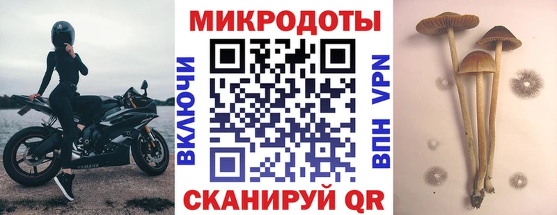 купить наркотик  Сосновка  Псилоцибиновые грибы GOLDEN TEACHER 